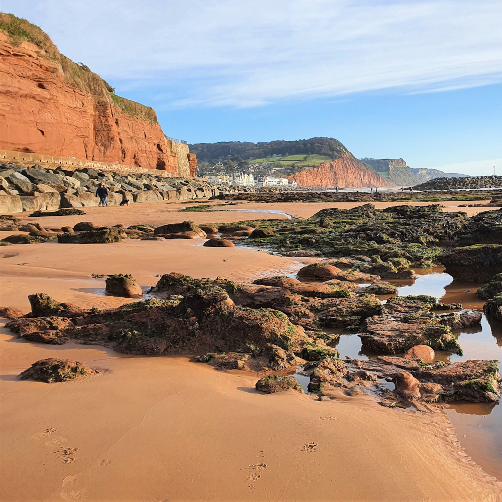 Jacob's Ladder - Sidmouth